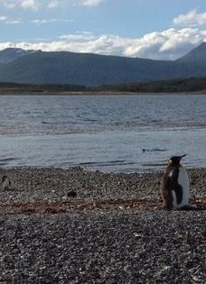 Isla Martillo-乌斯怀亚