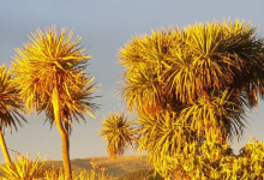 Central Otago景点图片