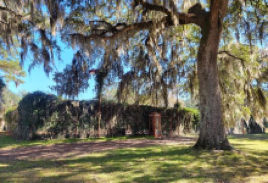 Auldbrass Plantation景点图片