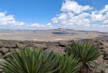 Bale Mountains景点图片