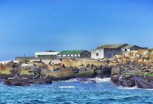 Isla de Lobos景点图片