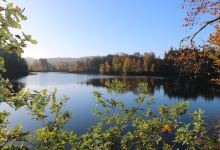 Lac de Robertville景点图片