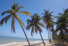 Carro Quebrado Beach景点图片