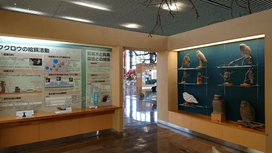 Aomori City Namioka Koryu Center Apinesu