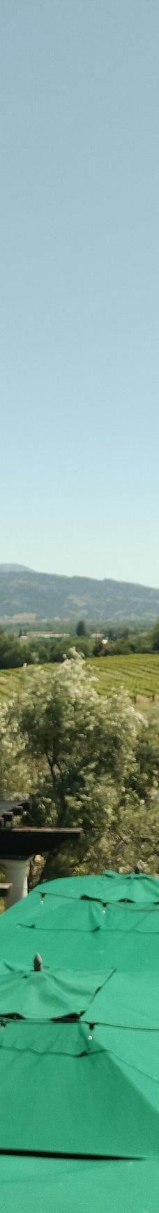 Francis Ford Coppola Winery-索诺马县