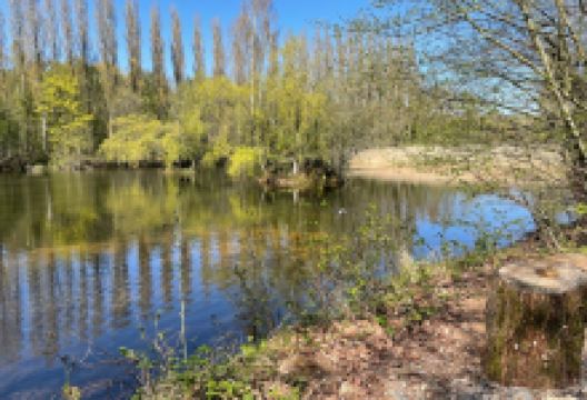 Brandon Marsh Nature Reserve景点图片