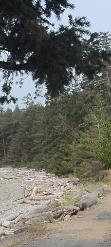 Rebecca Spit Marine Provincial Park-奎德拉岛