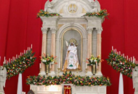 Catedral Basilica Nuestra Senora of the Paz景点图片