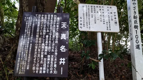 天真名井