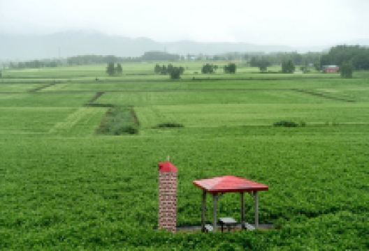 Seiwa View Point景点图片