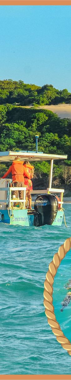 Jangalancha Show-纳塔尔