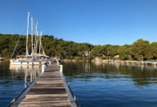 Palmizana Botanical Garden景点图片