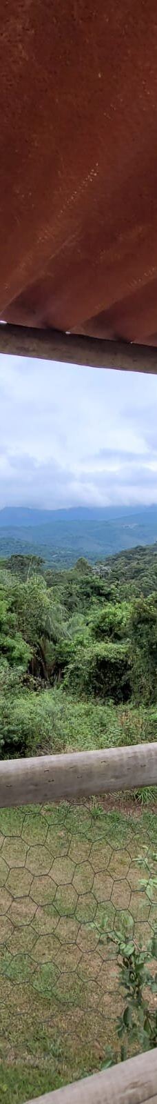Parque Estadual Mata do Limoeiro-伊塔比拉