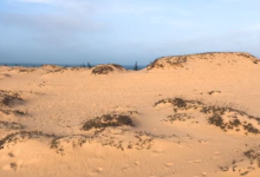 Quang Phu Sand Dunes景点图片