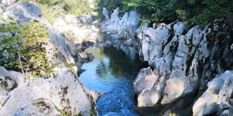 Pasarela del Rio Pas