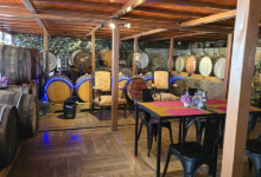 Dona Josefa de Elqui - Pisco Artsanal景点图片