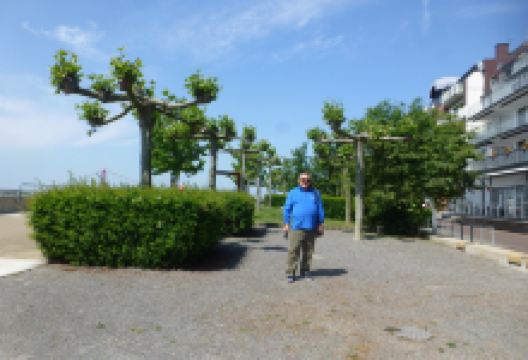 Rheinpromenade景点图片