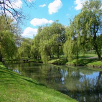 弗沃茨瓦韦克图片