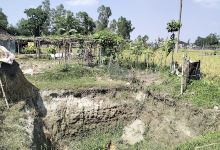 Mahmuda garden景点图片
