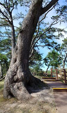 Bungye Beach-新安郡