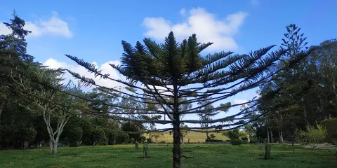 Reserva Florestal de Recreio de Valverde