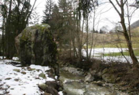 Menhir La Roche景点图片