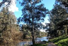 Darbys Falls River Reserve景点图片