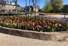 Julianapark Hillegom景点图片