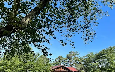 真人公園