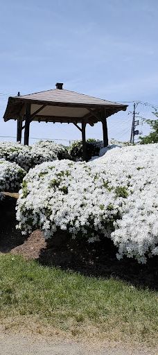Matsugachi Park-长井市