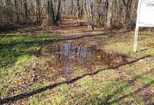 Sandy Bottom Nature Trail景点图片