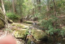 Carrington Park Waterfall景点图片