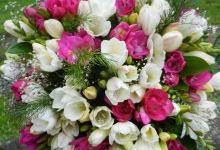 Ziedi pie Laumas购物图片