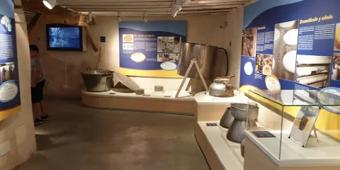 曼徹格乳酪和藝術收藏博物館