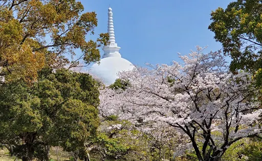 大牟田甘木公園