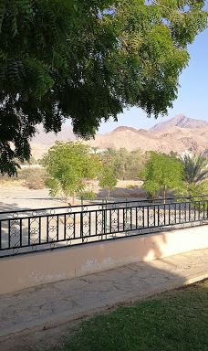 Garden gras-尼兹瓦