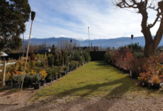 La Moixera Garden购物图片