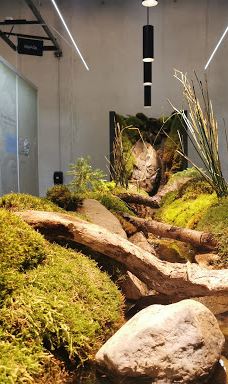 Naturbornholm-阿克尔科拜