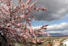 Comienzo Carril Bici景点图片