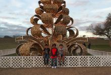 H.E.B. Park景点图片