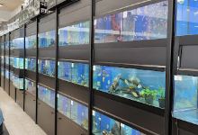 Pet Hollywood Pet Store购物图片