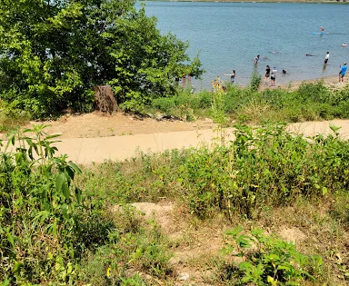 Shawnee Mission Park Dog Off-Leash Area