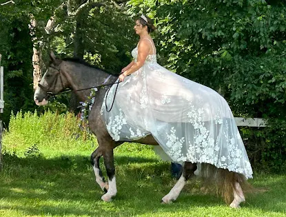 Stepping Stone Ranch