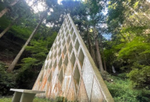 杉神社景点图片