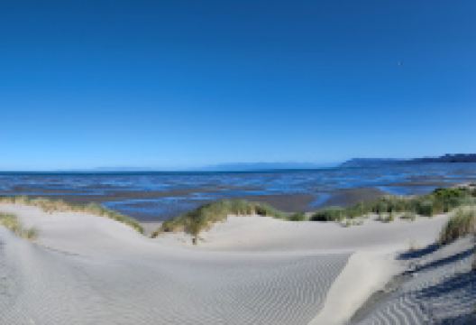 Walkway Te Papa Atawhai景点图片