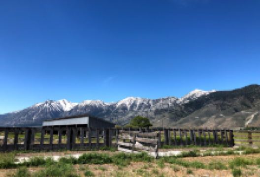 West Fork Carson River景点图片