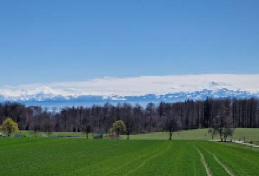 Amalienhöhe景点图片