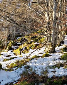 Cascade du Creux de l'Oulette-萨扬