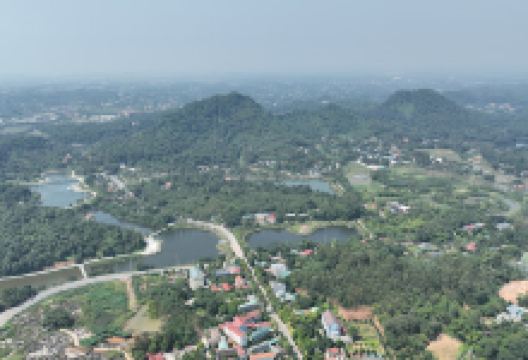 SINH VÂT CẢNH ĐỀN HÙNG购物图片