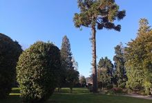Pazo de Montecelo景点图片